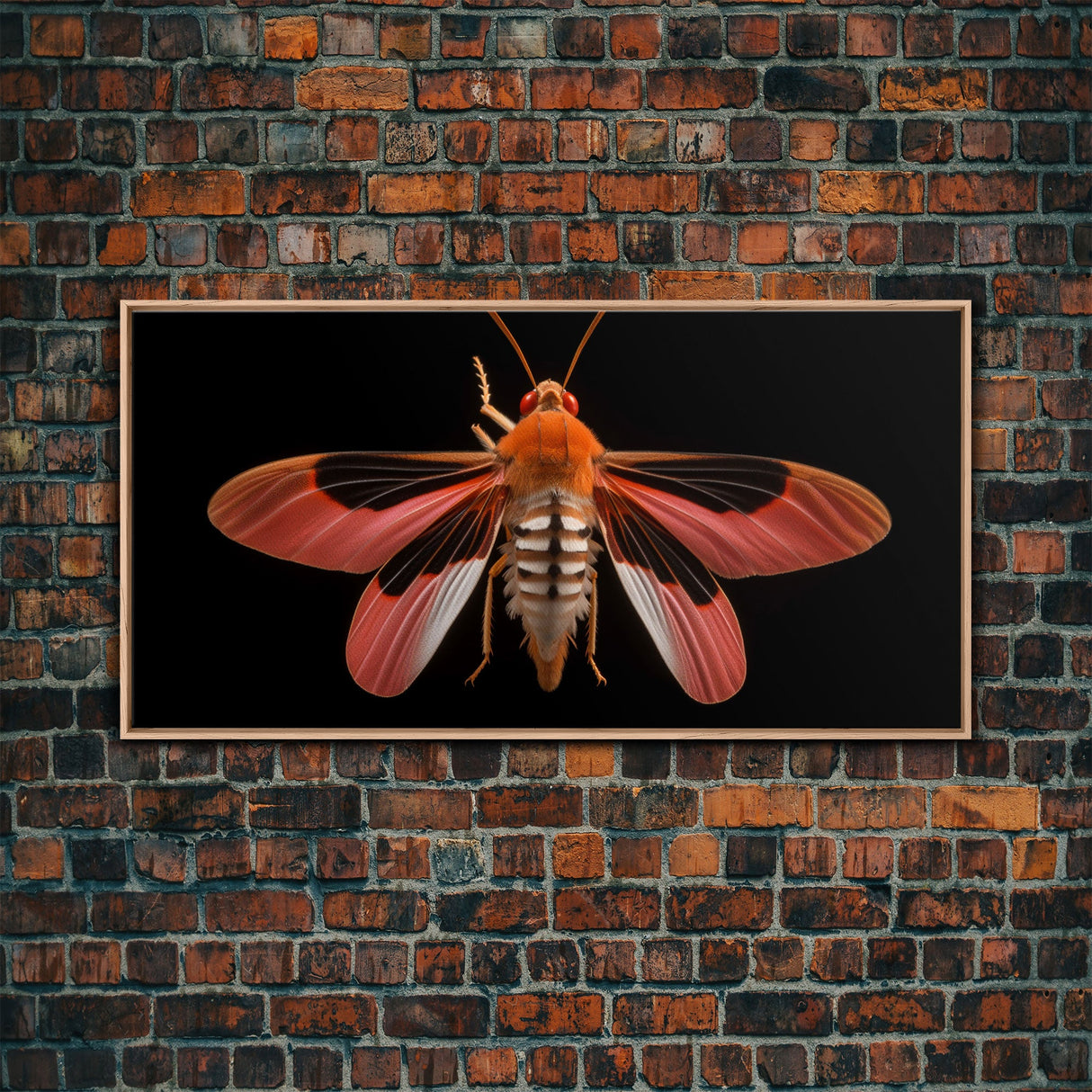 Red Moth Wall Decor, Insect Wall Art, Nature Wall Decor, Minimalist Art, Panoramic Wall Decor, Canvas Print, Wall Art, Framed Canvas Art