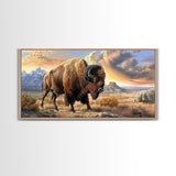 Lone Bison Roaming the Plains, Framed Canvas Print, Great for Living Room Art, Rustic Home Decor, Western Style Bedroom Wall Art