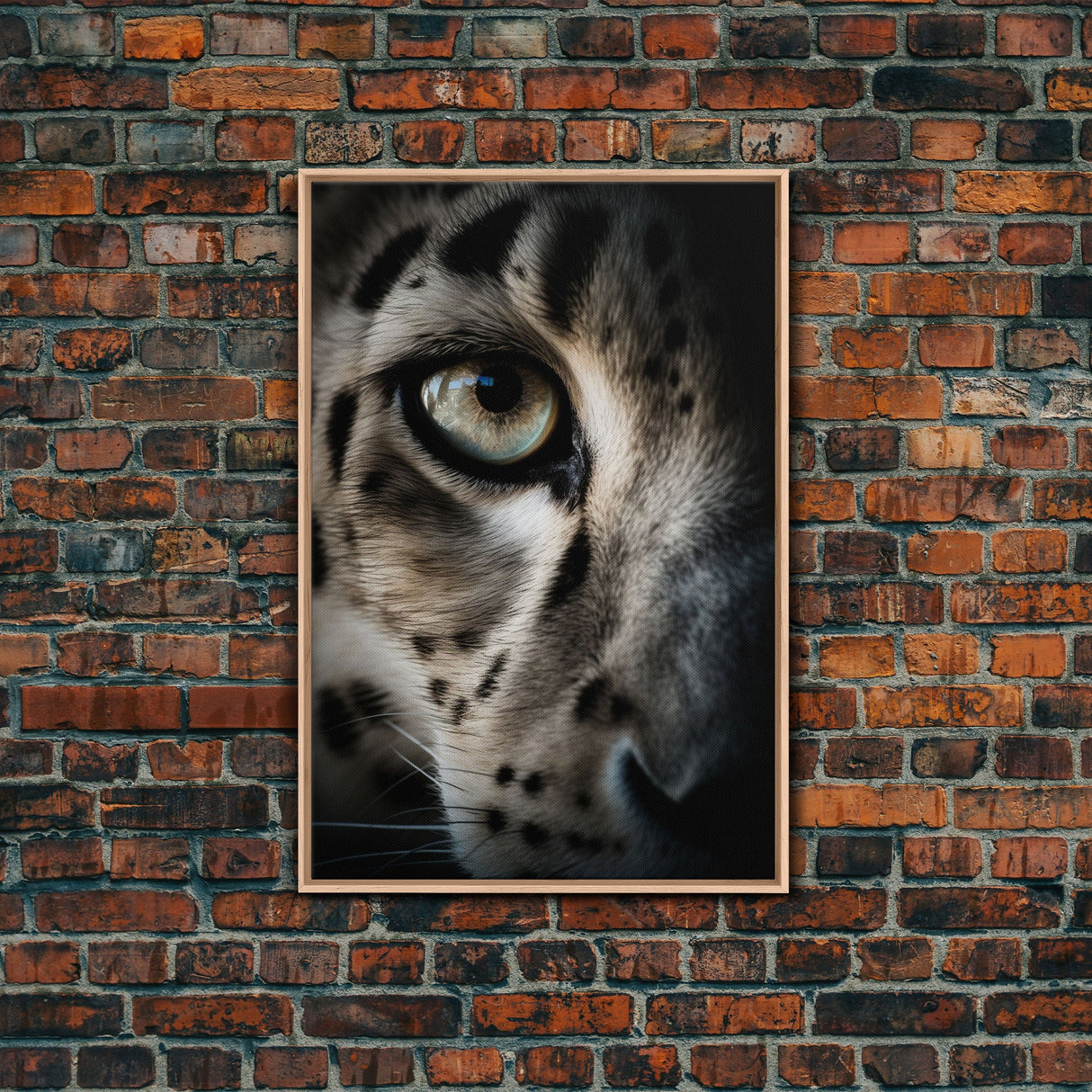 Snow Leopard Photography Art, Framed Canvas Print, Predator Art, Big Cat Art