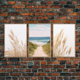 Beautiful Set of 3 Pampas Grass Beach Ocean Shore Photography Prints Minimalist Modern Art Neutral Coastal Room Decor Framed Canvas Wall Art