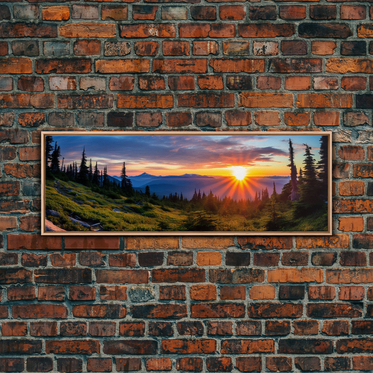 Panoramic of Olympic National Park, Extra Large Wall Art, Panoramic Wall Art, Panoramic Print, Landscape Photography Landscape