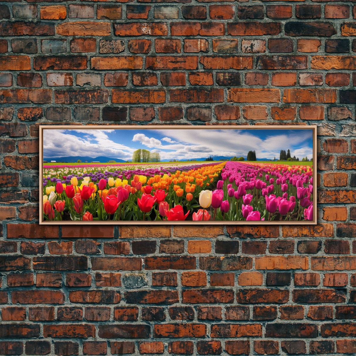 Panoramic Print of Tulip Fields of Skagit Valley Extra Large Wall Art, Panoramic Wall Art, Panoramic Landscape Print, Landscape Photography