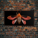 Red Moth Wall Decor, Insect Wall Art, Nature Wall Decor, Minimalist Art, Panoramic Wall Decor, Canvas Print, Wall Art, Framed Canvas Art