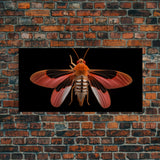 Red Moth Wall Decor, Insect Wall Art, Nature Wall Decor, Minimalist Art, Panoramic Wall Decor, Canvas Print, Wall Art, Framed Canvas Art