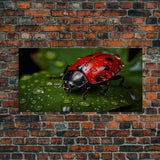 Ladybug, Insect Art, Nature Wall Art, Panoramic Art, Wall Art, Canvas Art, Landscape Art, Rustic Wall Decor, Above Bed Art, Bookshelf Decor