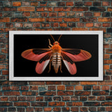 Red Moth Wall Decor, Insect Wall Art, Nature Wall Decor, Minimalist Art, Panoramic Wall Decor, Canvas Print, Wall Art, Framed Canvas Art