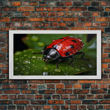 Ladybug, Insect Art, Nature Wall Art, Panoramic Art, Wall Art, Canvas Art, Landscape Art, Rustic Wall Decor, Above Bed Art, Bookshelf Decor