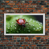 Insect Art, Nature Wall Art, Ladybug, Panoramic Art, Wall Art, Canvas Art, Landscape Art, Unique Gift, Home Office Art, Wall Hanging