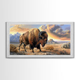 Lone Bison Roaming the Plains, Framed Canvas Print, Great for Living Room Art, Rustic Home Decor, Western Style Bedroom Wall Art