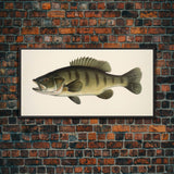 Bass Fish Wall Decor, Animal Wall Art, Nature Wall Art, Minimalist Art, Panoramic Wall Decor, Canvas Print, Wall Art, Framed Canvas Art