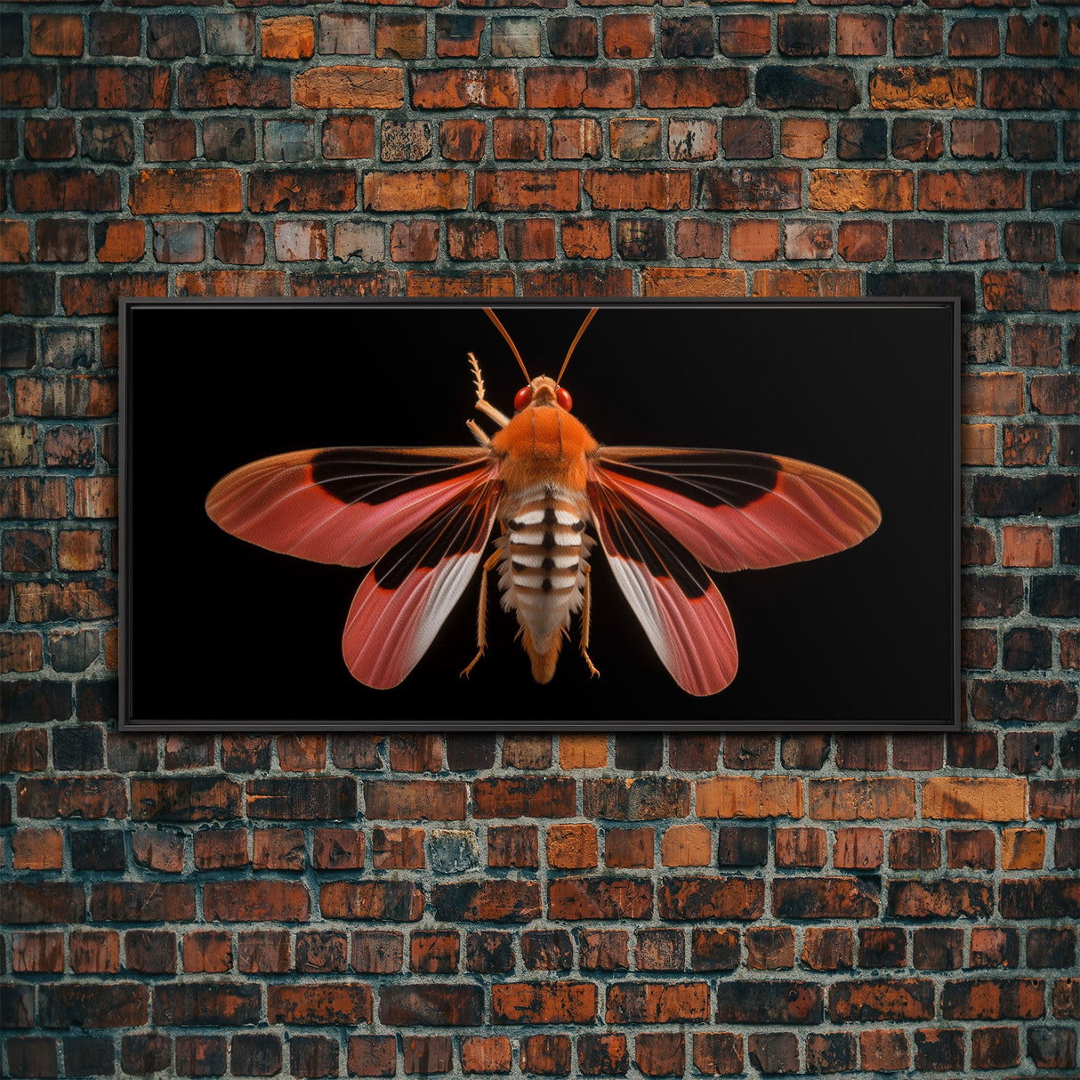 Red Moth Wall Decor, Insect Wall Art, Nature Wall Decor, Minimalist Art, Panoramic Wall Decor, Canvas Print, Wall Art, Framed Canvas Art