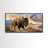 Lone Bison Roaming the Plains, Framed Canvas Print, Great for Living Room Art, Rustic Home Decor, Western Style Bedroom Wall Art