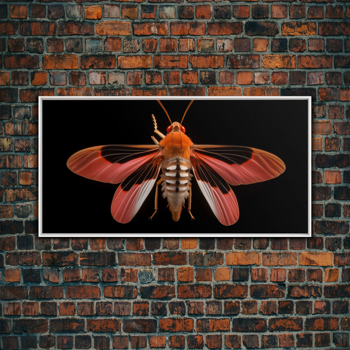 Red Moth Wall Decor, Insect Wall Art, Nature Wall Decor, Minimalist Art, Panoramic Wall Decor, Canvas Print, Wall Art, Framed Canvas Art