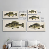 Bass Fish Wall Decor, Animal Wall Art, Nature Wall Art, Minimalist Art, Panoramic Wall Decor, Canvas Print, Wall Art, Framed Canvas Art