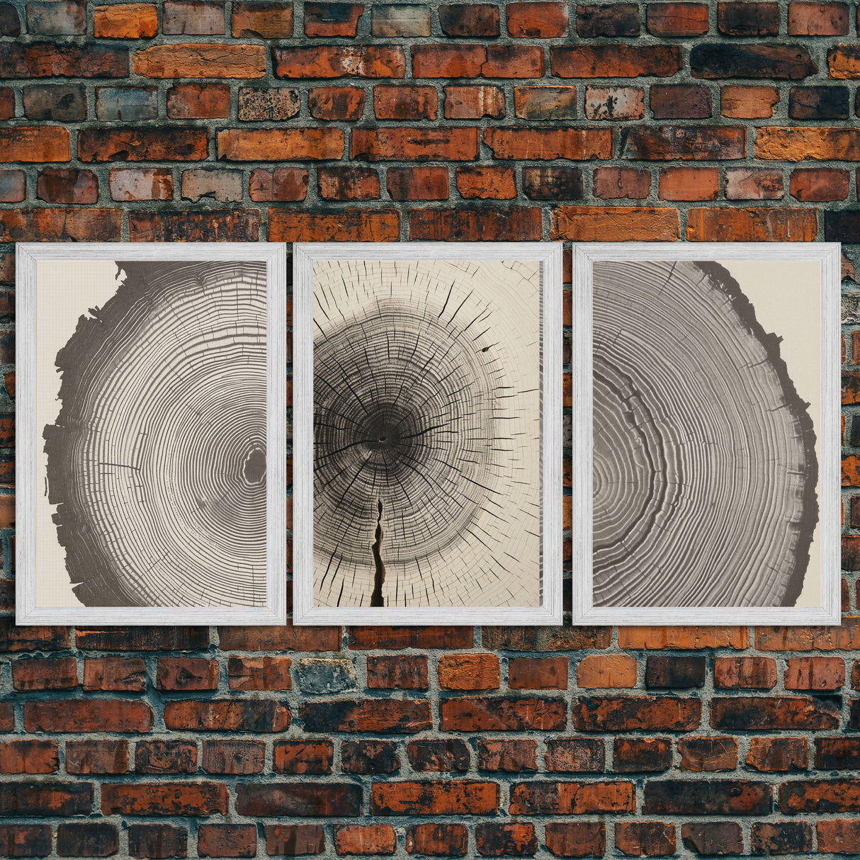 3 Piece Triptych Framed Canvas Wall Art Set, Wood Tree Rings, Abstract Illustration Prints, Modern Art, Neutral Decor, Minimalist Art