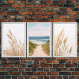 Beautiful Set of 3 Pampas Grass Beach Ocean Shore Photography Prints Minimalist Modern Art Neutral Coastal Room Decor Framed Canvas Wall Art