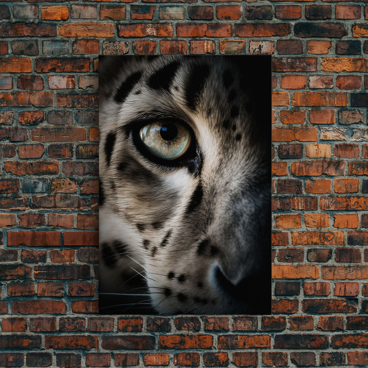Snow Leopard Photography Art, Framed Canvas Print, Predator Art, Big Cat Art