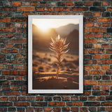 Sunlight Over A Desert Rose, Framed Canvas Wall Art Cactus Desert Landscape Arizona Photography Print Minimalist Modern Western Art