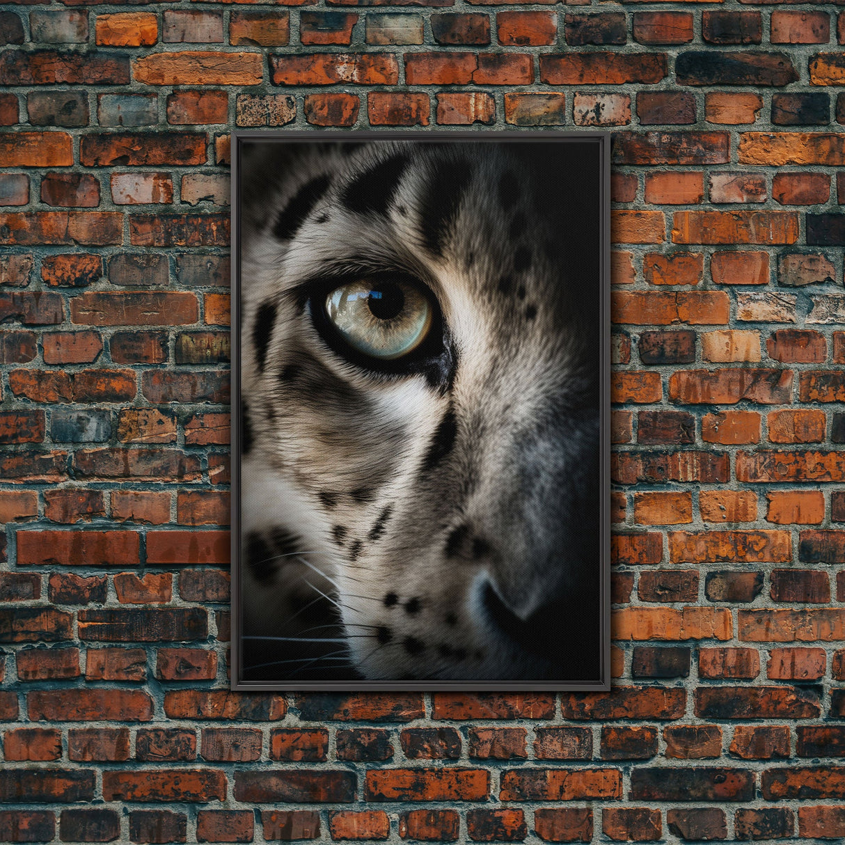 Snow Leopard Photography Art, Framed Canvas Print, Predator Art, Big Cat Art