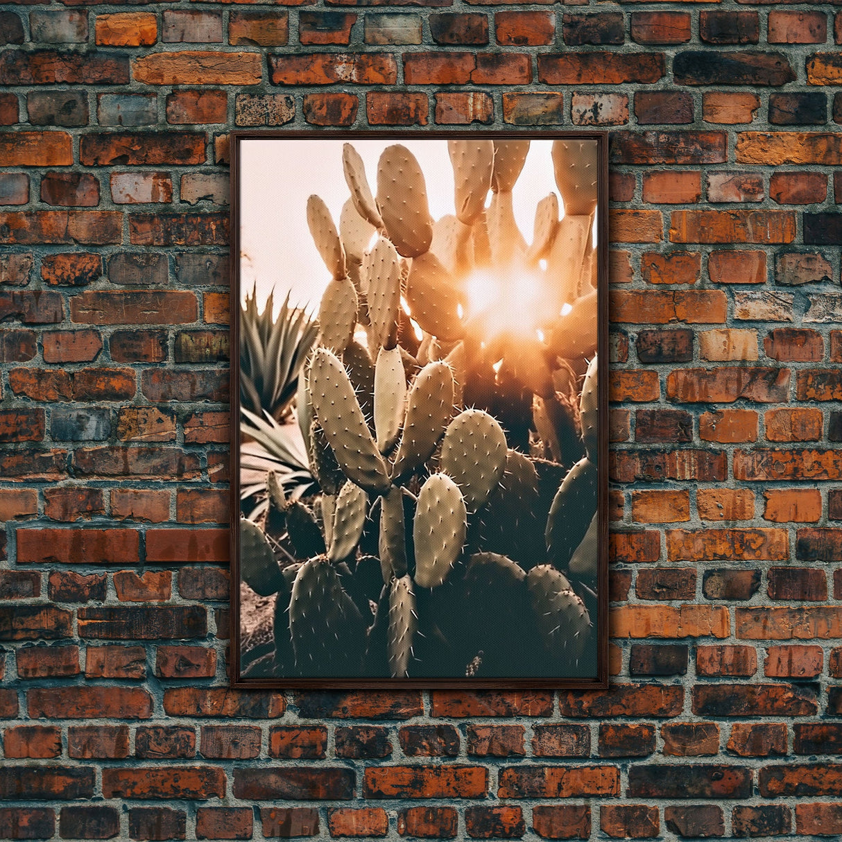 Sunlight Peaking Through A Cactus, Framed Canvas Wall Art Cactus Desert Landscape Arizona Photography Print Minimalist Modern Western Art