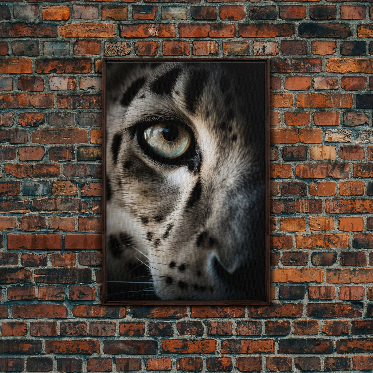 Snow Leopard Photography Art, Framed Canvas Print, Predator Art, Big Cat Art