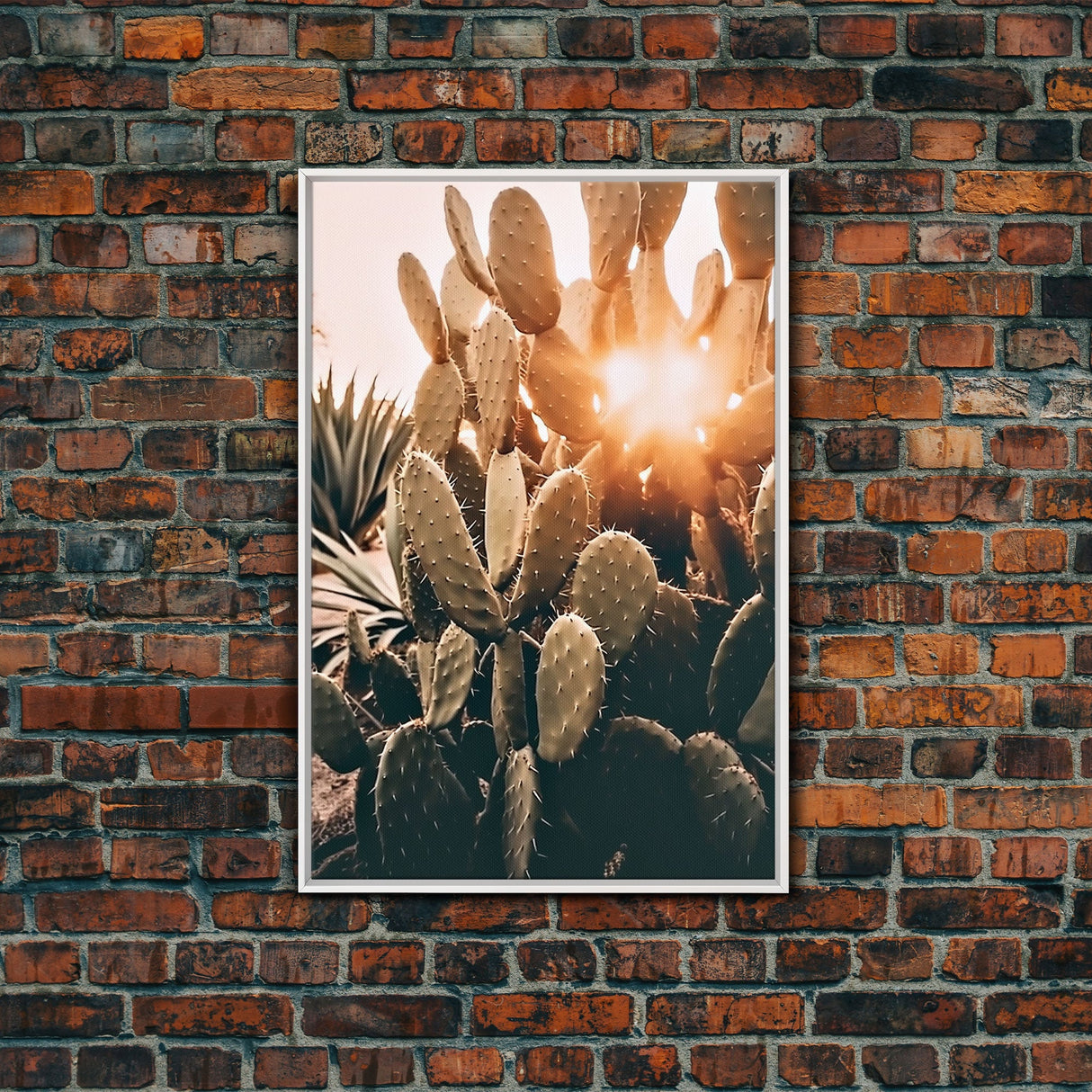 Sunlight Peaking Through A Cactus, Framed Canvas Wall Art Cactus Desert Landscape Arizona Photography Print Minimalist Modern Western Art