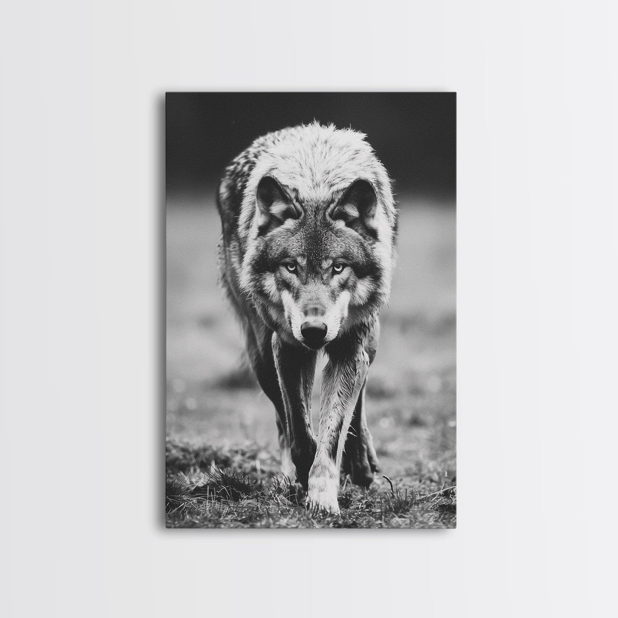 Majestic Wolf Black and White Art Print - Framed Canvas Wall Decor, Wildlife Art for Living Room, Rustic Animal Wall Art for Home