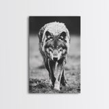 Majestic Wolf Black and White Art Print - Framed Canvas Wall Decor, Wildlife Art for Living Room, Rustic Animal Wall Art for Home