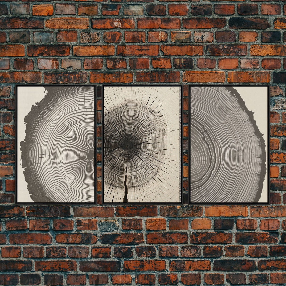 3 Piece Triptych Framed Canvas Wall Art Set, Wood Tree Rings, Abstract Illustration Prints, Modern Art, Neutral Decor, Minimalist Art