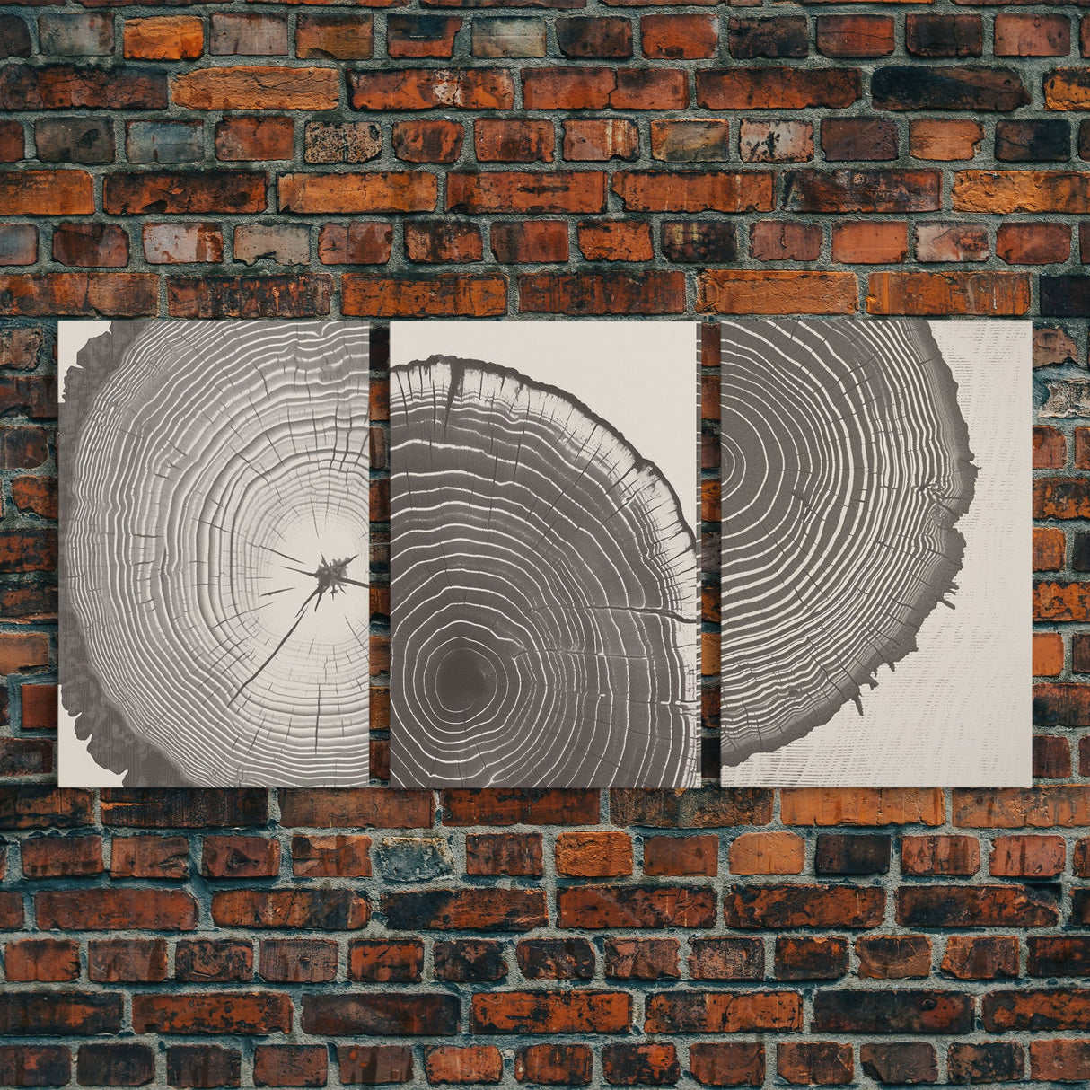 Boho Framed Canvas Wall Art Set, Wood Tree Rings Abstract Illustrations Prints Modern Art, Minimalist Neutral Boho Decor, Charcoal Sketch