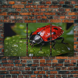 Lady Bug Wall Art, Insect Art Print, Nature Art, Canvas Print, Wall Art, 3 Piece Wall Art, Dorm Room Art, Living Room Prints, Office Prints