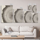 3 Piece Triptych Framed Canvas Wall Art Set, Wood Tree Rings, Abstract Illustration Prints, Modern Art, Neutral Decor, Minimalist Art