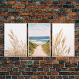 Beautiful Set of 3 Pampas Grass Beach Ocean Shore Photography Prints Minimalist Modern Art Neutral Coastal Room Decor Framed Canvas Wall Art