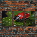 Lady Bug Wall Art, Insect Art Print, Nature Art, Canvas Print, Wall Art, 3 Piece Wall Art, Dorm Room Art, Living Room Prints, Office Prints