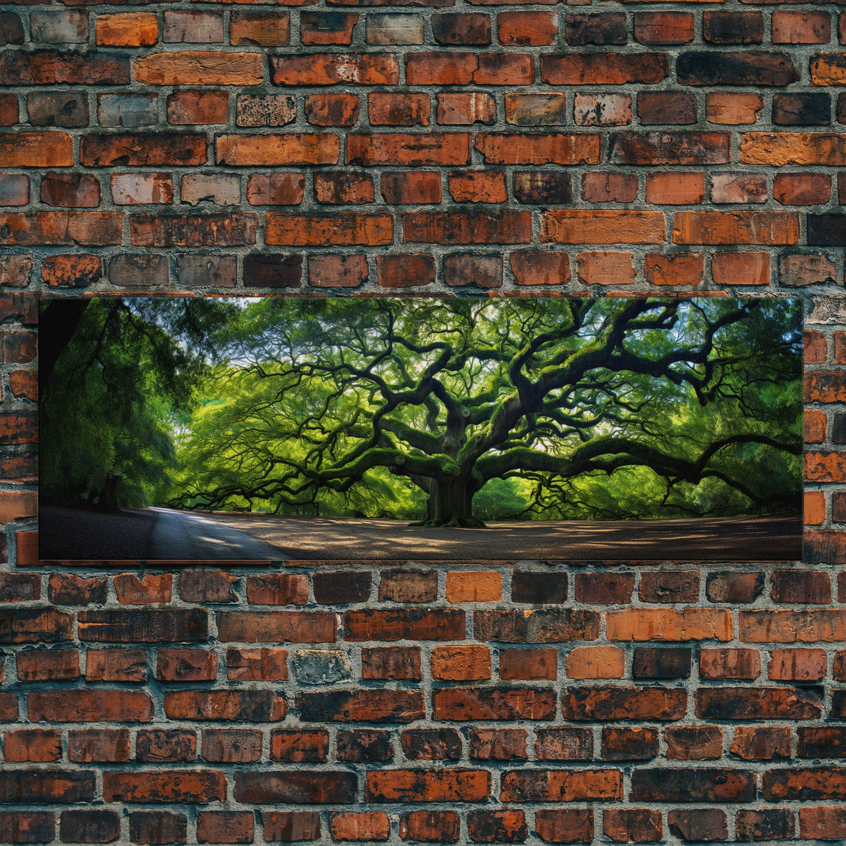 Photographic Panoramic of the Angel Oak in Charleston SC, Sunset Photography, National Park Art, Framed Canvas Print, Landscape Photography