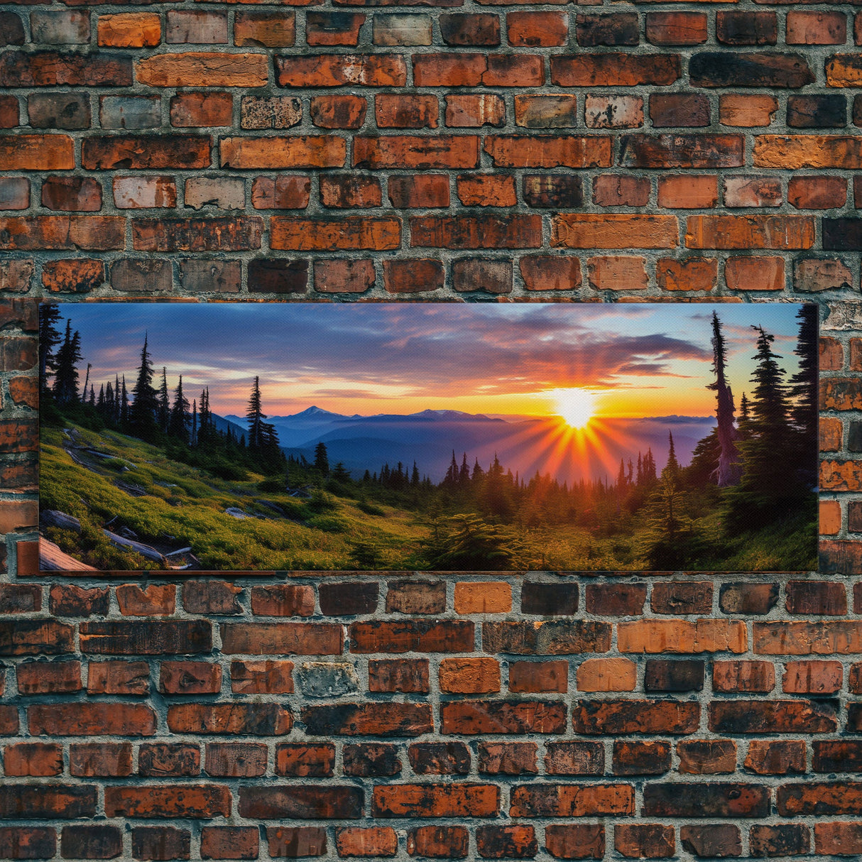 Panoramic of Olympic National Park, Extra Large Wall Art, Panoramic Wall Art, Panoramic Print, Landscape Photography Landscape