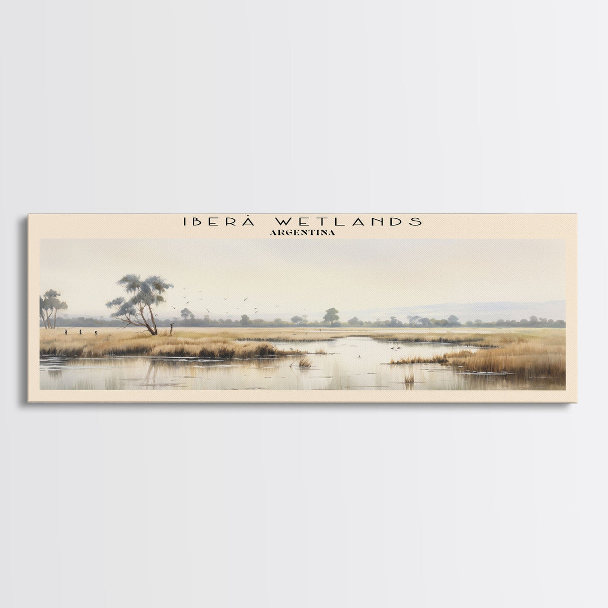 Iberá Wetlands Travel Poster Print, Framed Canvas Wall Art, Metal Wall Art, COUNTRY art, Gift For Him, Travel Wall Art, Travel Lover Gift