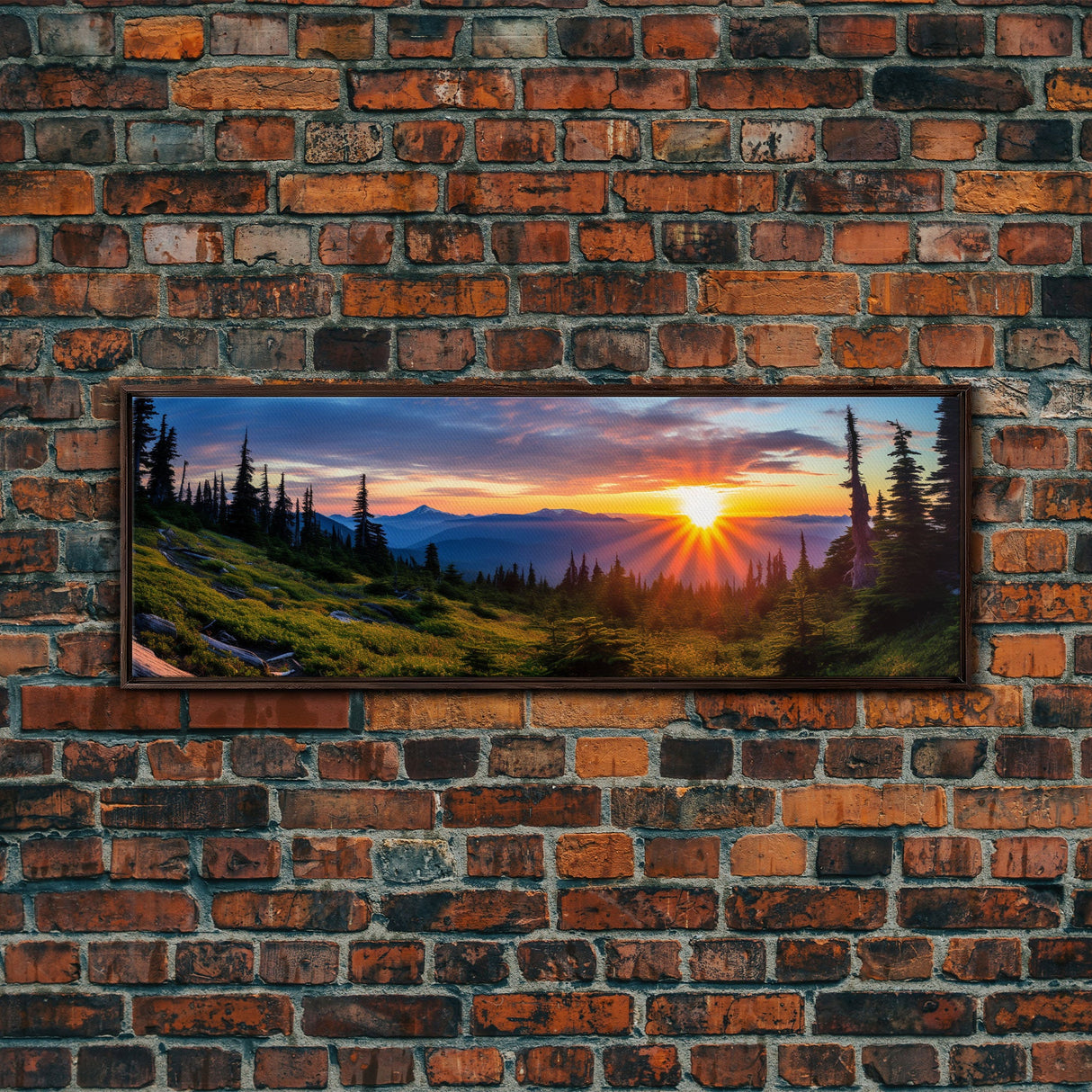 Panoramic of Olympic National Park, Extra Large Wall Art, Panoramic Wall Art, Panoramic Print, Landscape Photography Landscape