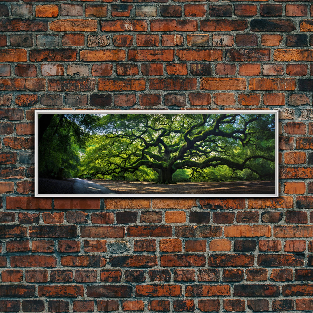 Photographic Panoramic of the Angel Oak in Charleston SC, Sunset Photography, National Park Art, Framed Canvas Print, Landscape Photography