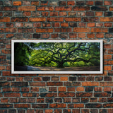 Photographic Panoramic of the Angel Oak in Charleston SC, Sunset Photography, National Park Art, Framed Canvas Print, Landscape Photography