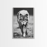 Majestic Wolf Black and White Art Print - Framed Canvas Wall Decor, Wildlife Art for Living Room, Rustic Animal Wall Art for Home