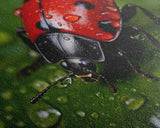 Ladybug, Insect Art, Nature Wall Art, Panoramic Art, Wall Art, Canvas Art, Landscape Art, Rustic Wall Decor, Above Bed Art, Bookshelf Decor