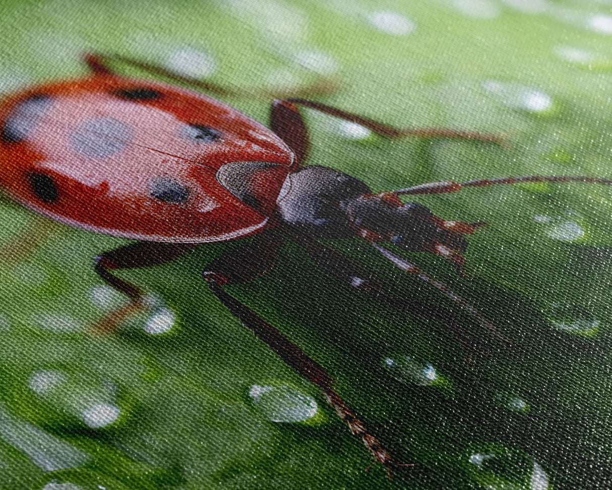 Insect Art, Nature Wall Art, Ladybug, Panoramic Art, Wall Art, Canvas Art, Landscape Art, Unique Gift, Home Office Art, Wall Hanging