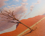 Panoramic Print of Namib Desert South Africa Extra Large Wall Art, Panoramic Wall Art, Panoramic Landscape Print, Landscape Photography