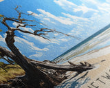 Driftwood Beach, Georgia Panoramic Beach Print, Vacation Gift, Georgia Wall Art, Framed Canvas Print, Framed Beach Painting