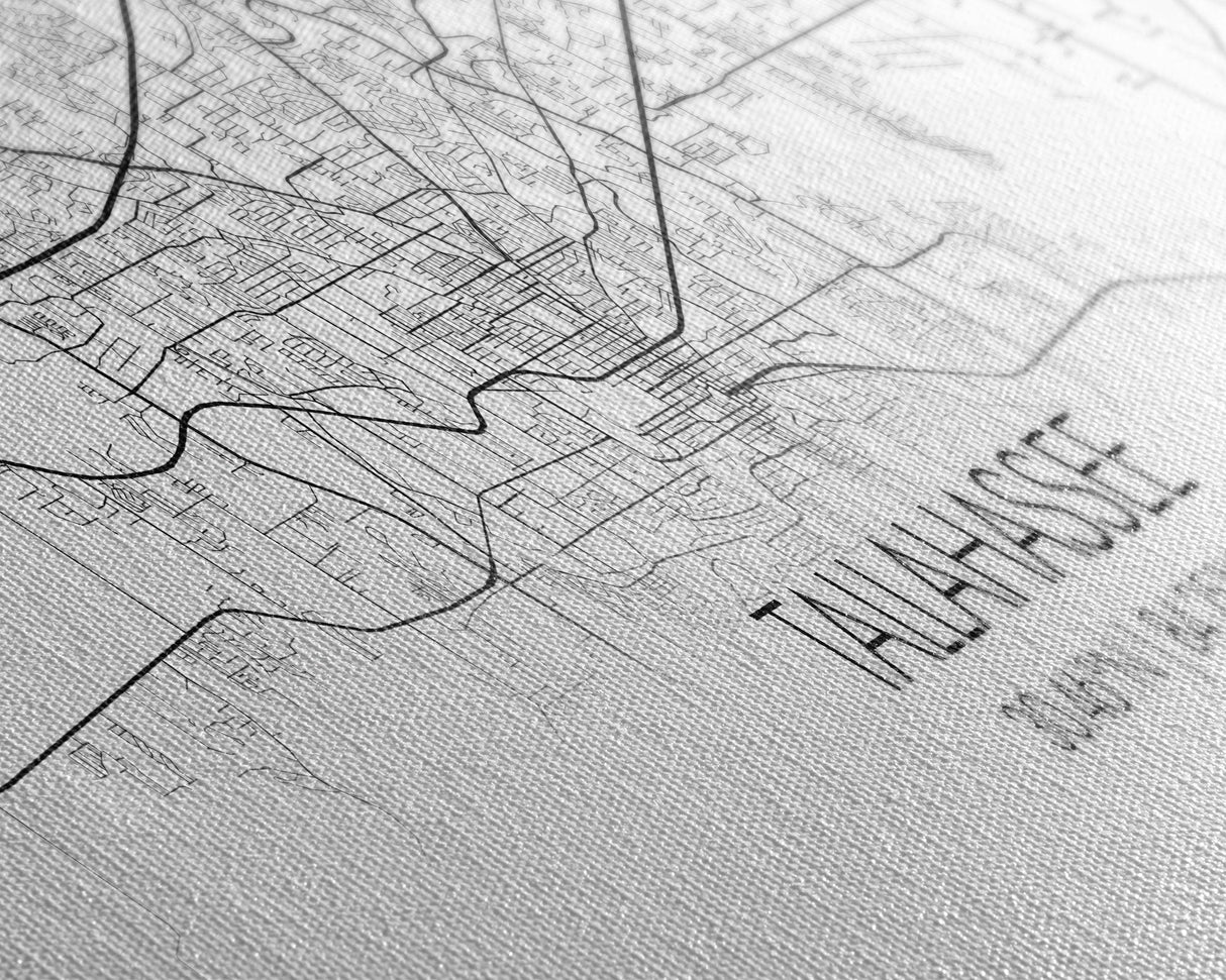 Panoramic Tallahassee City Map, Florida Art, Map Print, Minimalist Wall Art, Canvas Art, Housewarming Gift, Street Map Art, Closing Gift