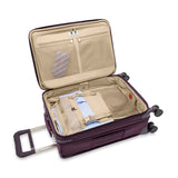 Special Edition Plum 2025 Baseline Collection Essential Carry-On Spinner by Briggs & Riley BLU122CXSP-64