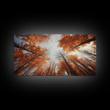 Trees Wall Art, Autumn Art Print, Forest Wall Art, Panoramic Art, Wall Art, Canvas Art, Landscape Art, Boys Bedroom Decor, Dorm Room Art