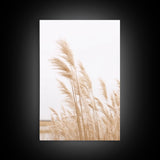 Beautiful Set of 3 Pampas Grass Beach Ocean Shore Photography Prints Minimalist Modern Art Neutral Coastal Room Decor Framed Canvas Wall Art