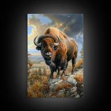 Powerful Bison in Prairie Landscape - Framed Canvas Print, Western Wildlife Wall Art, Bison Decor for Living Room and Bedroom